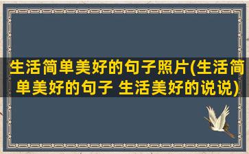 生活简单美好的句子照片(生活简单美好的句子 生活美好的说说)